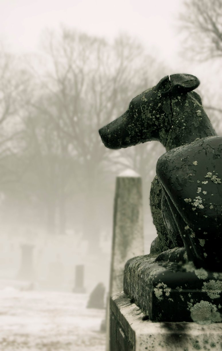 Lisa Roberts Photography, 2013 All Rights Reserved