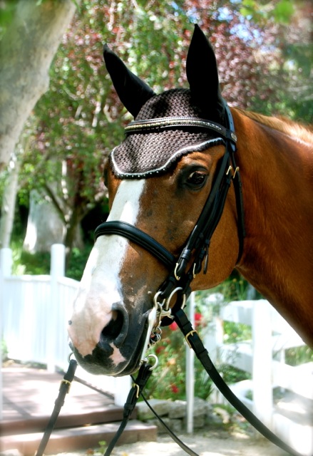 Lisa Roberts Photography all rights reserved 2014