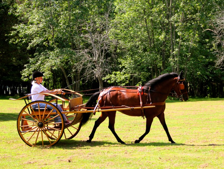 Lisa Roberts Photography all rights reserved 2014